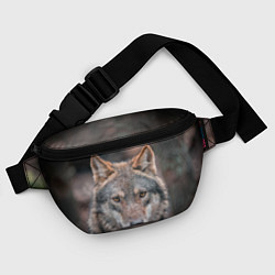 Поясная сумка Волк с грустными глазами, цвет: 3D-принт — фото 2