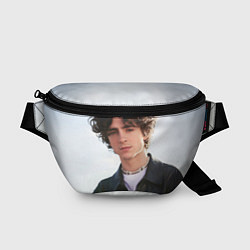 Поясная сумка Timothe for Variety, цвет: 3D-принт