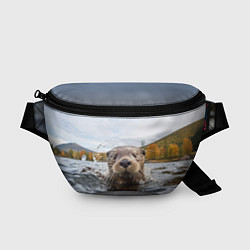 Поясная сумка Выдра смотрит из воды, цвет: 3D-принт