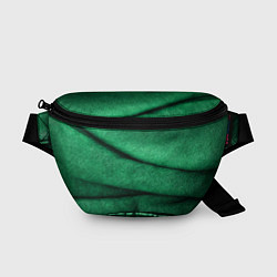 Поясная сумка Зеленая джинса, цвет: 3D-принт