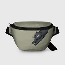 Поясная сумка Подозрительно лежачий кот