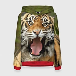 Толстовка-худи женская Удивленный тигр, цвет: 3D-красный
