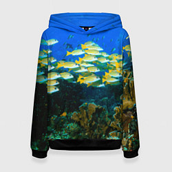 Толстовка-худи женская Коралловые рыбки, цвет: 3D-черный