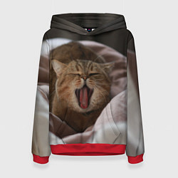Толстовка-худи женская Зевающий кот на кровати, цвет: 3D-красный