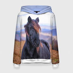 Толстовка-худи женская Черный конь, цвет: 3D-белый