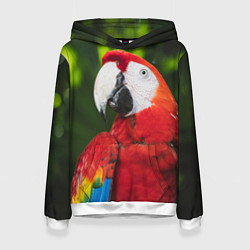 Толстовка-худи женская Красный попугай Ара, цвет: 3D-белый