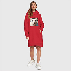Женское худи-платье Мем про кота, цвет: красный — фото 2