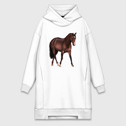 Женская толстовка-платье Австралийская пастушья лошадь