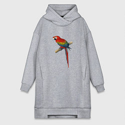 Женская толстовка-платье Попугай ara macaw