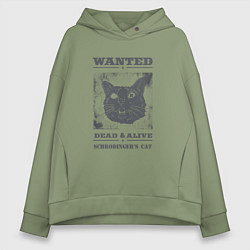 Женское худи оверсайз Schrodinger's cat