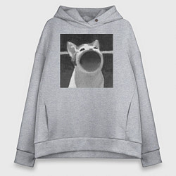 Толстовка оверсайз женская ЧБ Pop Cat, цвет: меланж