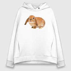 Толстовка оверсайз женская Рыжий пушистый кролик, цвет: белый