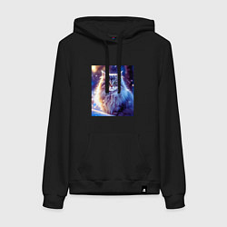 Женская толстовка-худи Кот в снегу