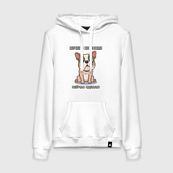 Толстовка-худи хлопковая женская Собака, мем, ничего не понял, цвет: белый