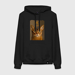 Толстовка-худи хлопковая женская Im an Abyssinian, цвет: черный