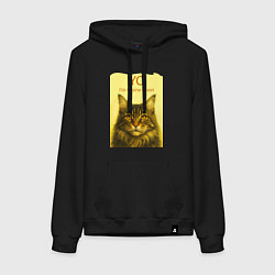 Толстовка-худи хлопковая женская Yo - Im Maine Coon, цвет: черный