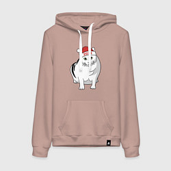 Толстовка-худи хлопковая женская Мемный кот Бендер - 2026, цвет: пыльно-розовый