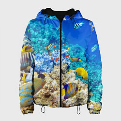 Куртка с капюшоном женская Морской мир, цвет: 3D-черный