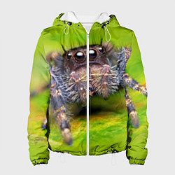 Куртка с капюшоном женская ПАУК МАКРО, цвет: 3D-белый