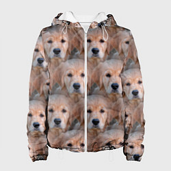 Куртка с капюшоном женская Маленькие щенята, цвет: 3D-белый