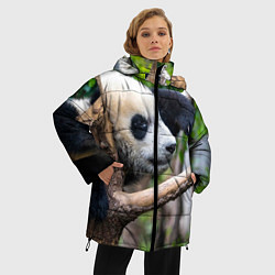 Куртка зимняя женская Бамбуковый медведь, цвет: 3D-красный — фото 2