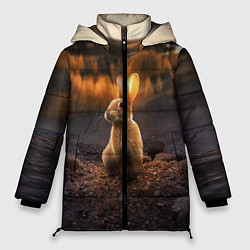 Куртка зимняя женская Солнечный зайчик, цвет: 3D-черный
