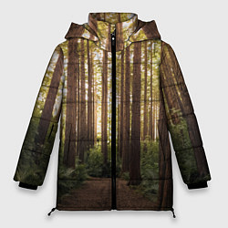 Куртка зимняя женская Дневной лес, деревья и свет, цвет: 3D-светло-серый