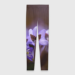 Леггинсы женские Хрупкий цветок фиалка, цвет: 3D-принт