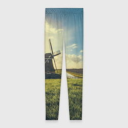 Леггинсы женские Мельница в поле, цвет: 3D-принт