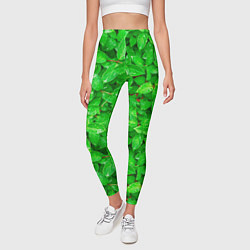 Леггинсы женские Зелёные листья - текстура, цвет: 3D-принт — фото 2