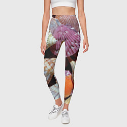 Леггинсы женские Композиция из океанских ракушек, цвет: 3D-принт — фото 2