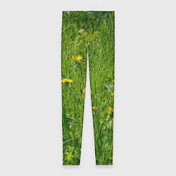 Леггинсы женские Солнечные одуванчики, цвет: 3D-принт
