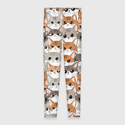 Леггинсы женские Паттерн милые котики, цвет: 3D-принт