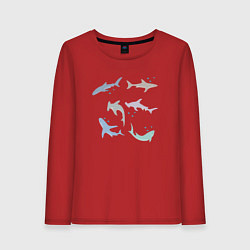 Лонгслив хлопковый женский Акулы разные, цвет: красный