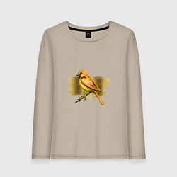 Лонгслив хлопковый женский Золотая птица, цвет: миндальный