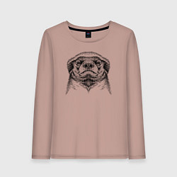 Лонгслив хлопковый женский Гордый медоед, цвет: пыльно-розовый