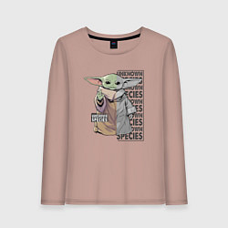 Лонгслив хлопковый женский Unknown specis - Baby Yoda, цвет: пыльно-розовый