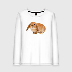 Женский лонгслив Рыжий пушистый кролик