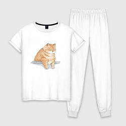 Пижама хлопковая женская Толстый Кот, цвет: белый