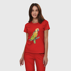 Пижама хлопковая женская Любимый попугай, цвет: красный — фото 2