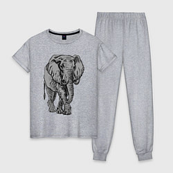 Пижама хлопковая женская Огромный могучий слон, цвет: меланж