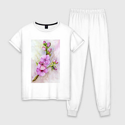 Пижама хлопковая женская Цвет сакуры акварелью, цвет: белый