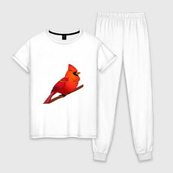Пижама хлопковая женская Птица красный кардинал, цвет: белый
