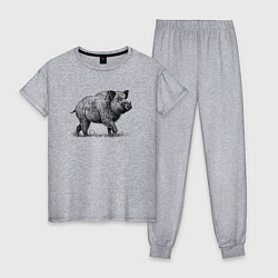 Женская пижама Кабан гуляет