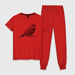 Пижама хлопковая женская Любопытный попугай, цвет: красный