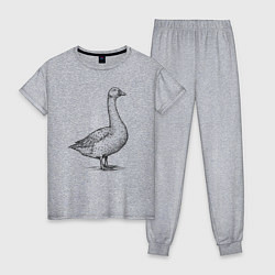 Пижама хлопковая женская Гусь в профиль, цвет: меланж