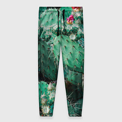 Женские брюки Кактусы с цветами реализм