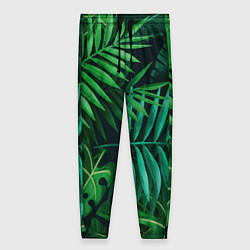 Женские брюки Сочные тропики