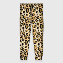 Женские брюки Пятна Дикого Леопарда