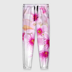 Женские брюки Цвет сакуры